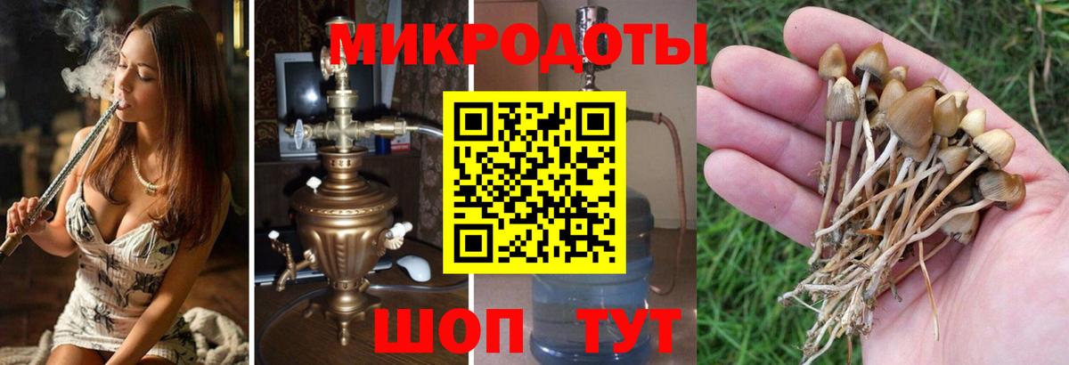 Галлюциногенные грибы мухоморы  Вход с VPN  Саранск  купить наркоту  Галлюциногенные грибы мицелий 